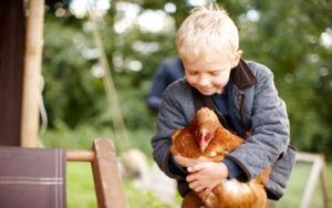 Séjour à la ferme avec 